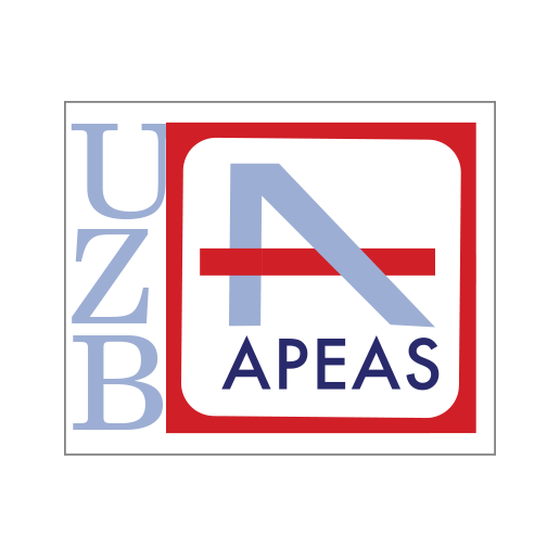 APEAS-CONSTRUCTION-COMPANY-LIMITED-UZBEKISTAN